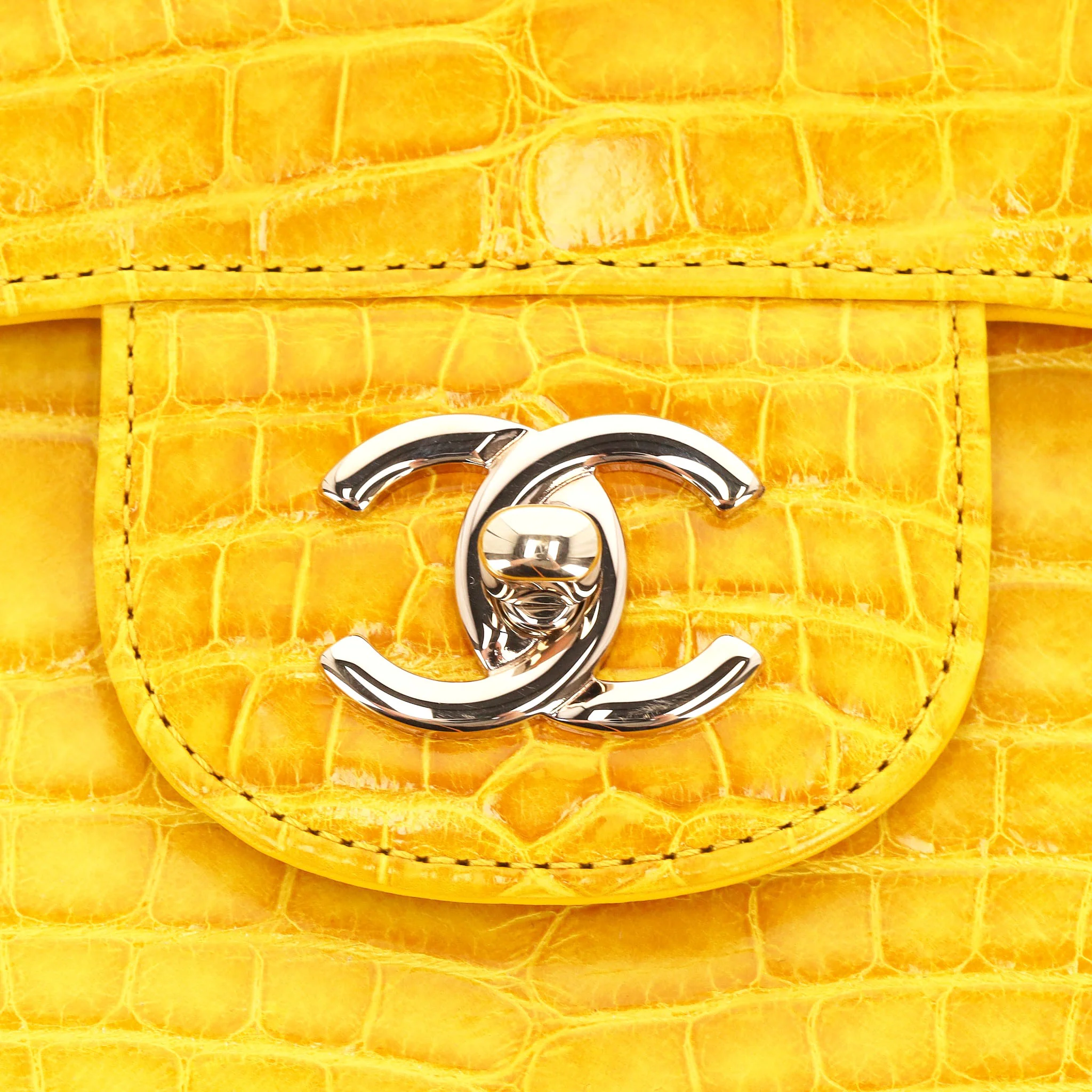 Chanel Ombre Shiny Alligator Skin Jumbo Double Flap Hand Bag - Image 8
