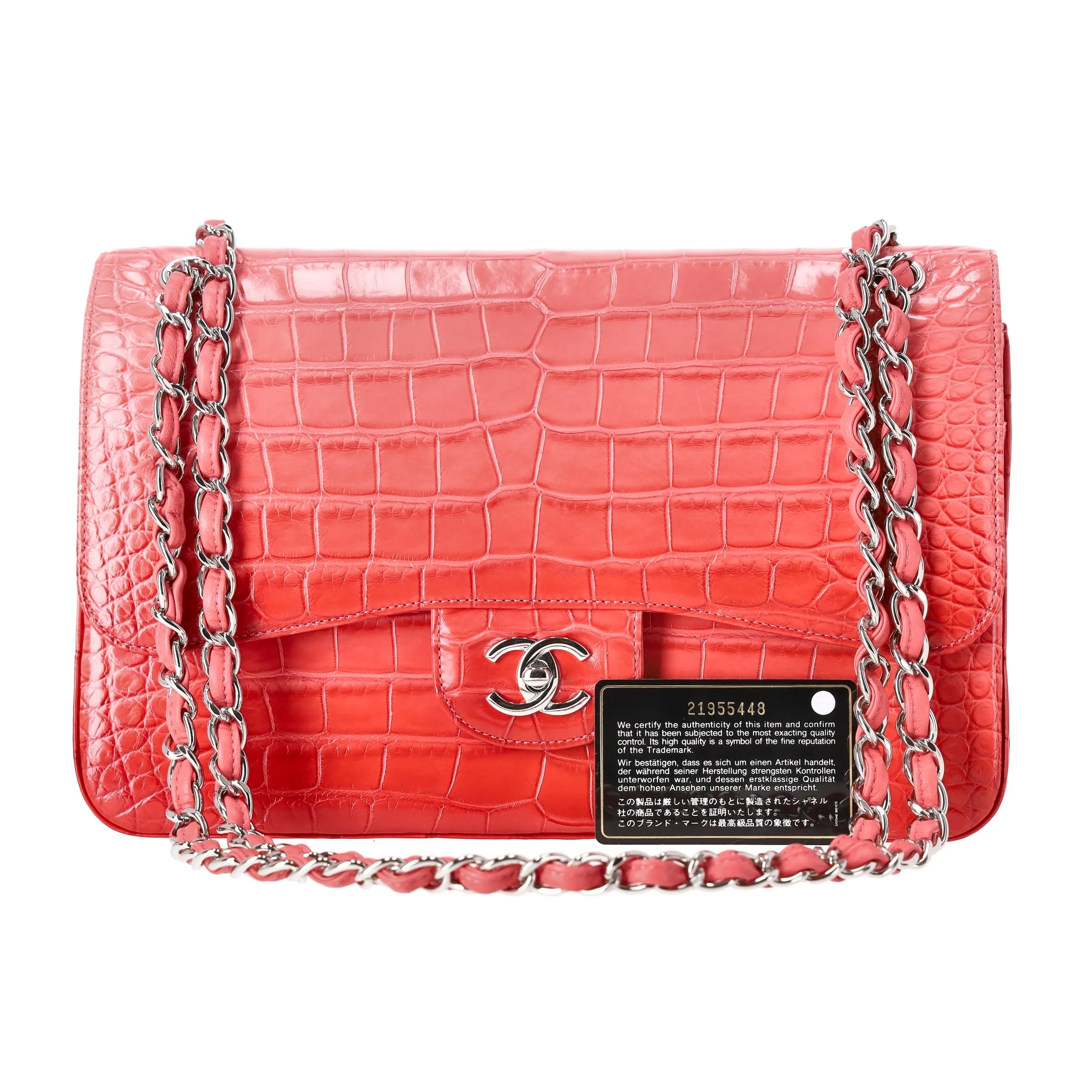 Chanel Jumbo Matte Ombre Alligator Timeless Double Flap Bag - Image 8