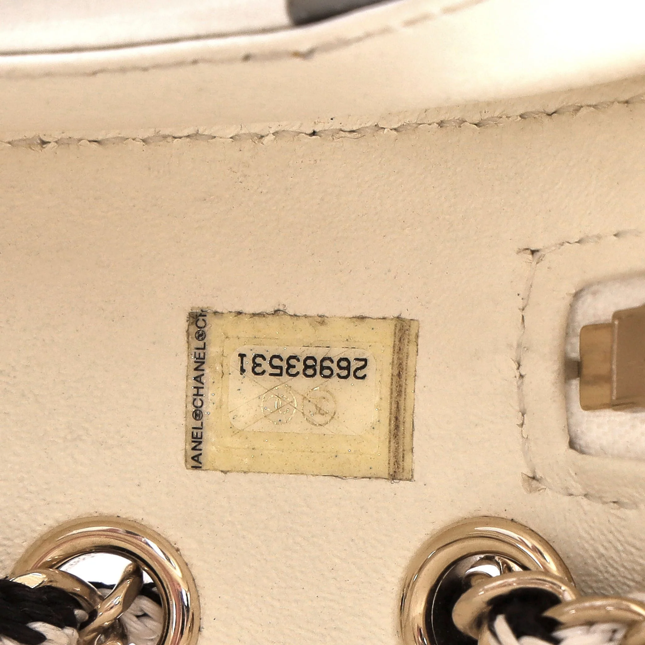 Chanel Limited Edition La Pausa Coco Lifesaver Bag - Image 15
