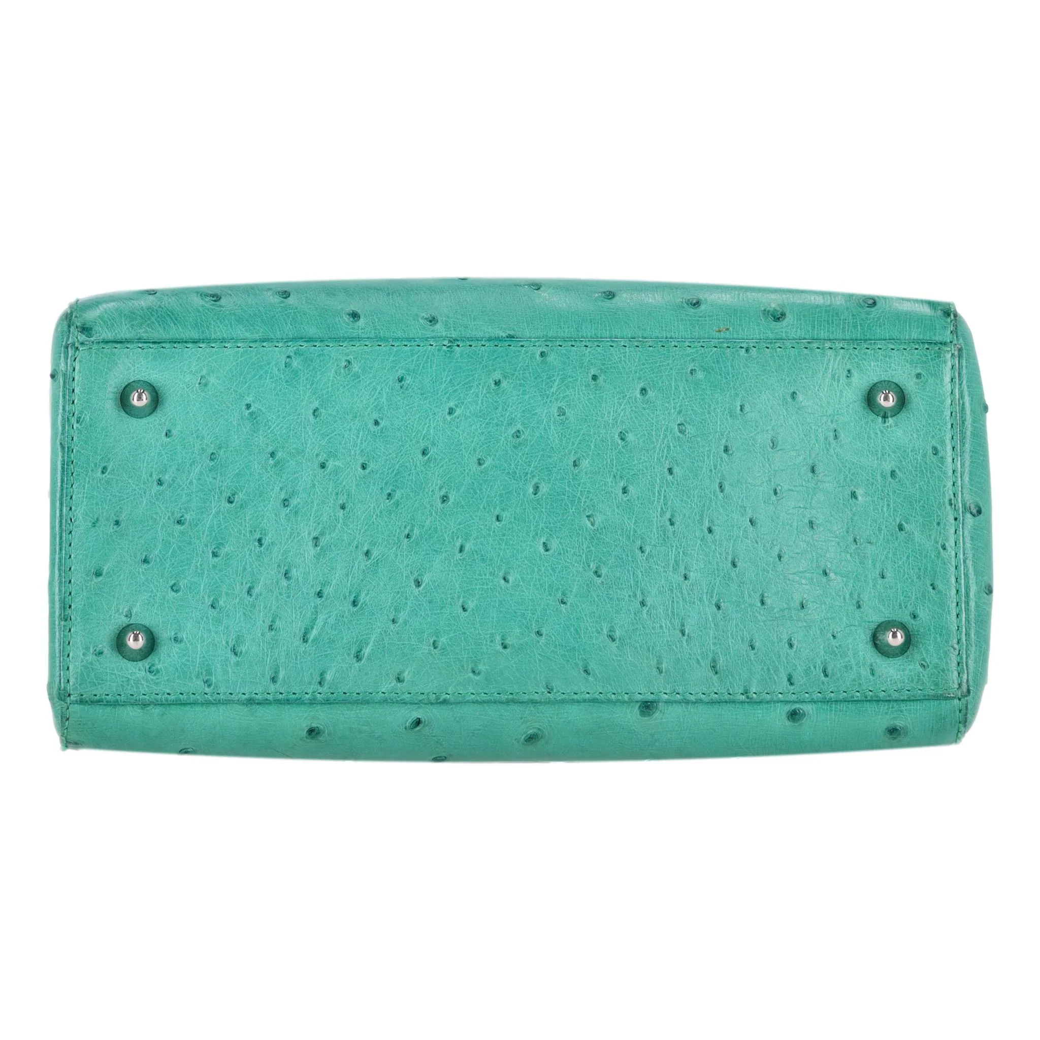 Christian Dior Ostrich Leather Medium Lady Dior Bag - Image 6