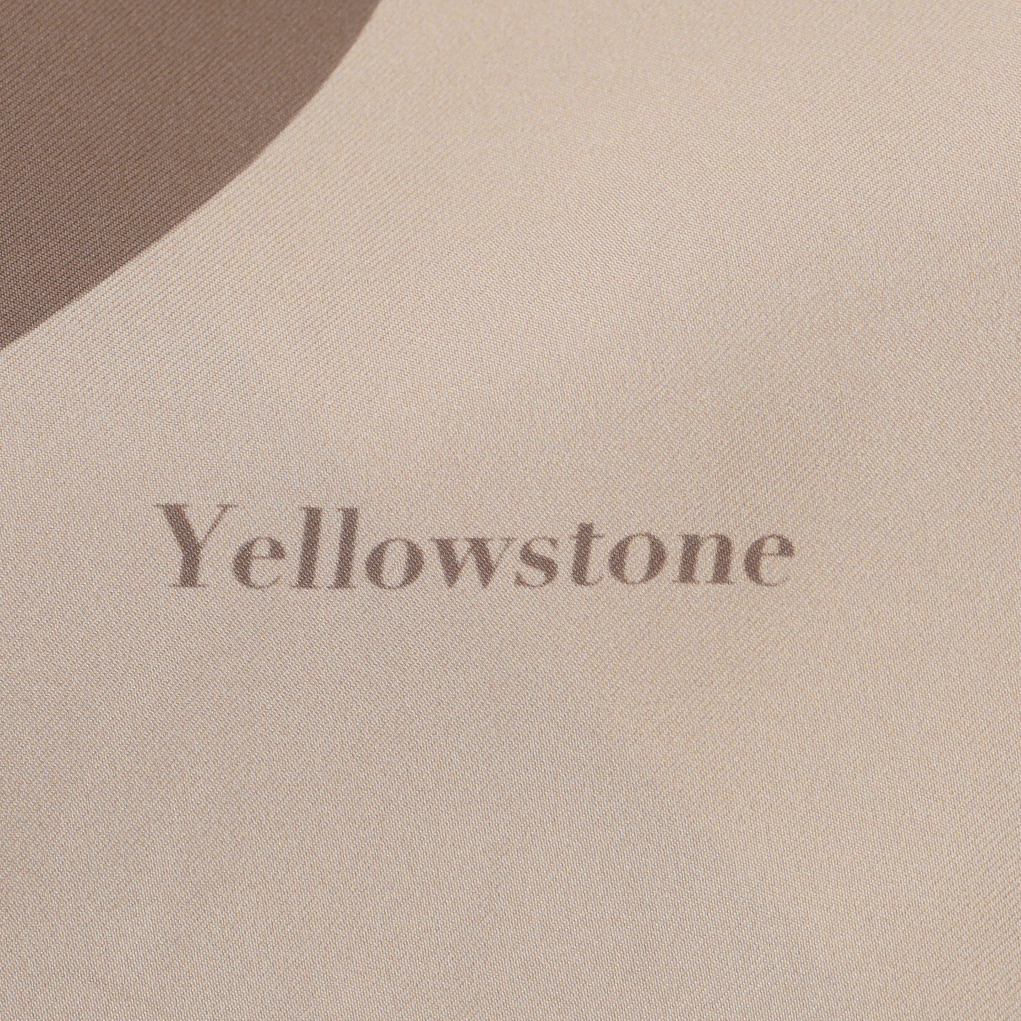 Dior x Shawn Stussy Yellowstone Silk Camp Shirt. Size 40FR - Image 6