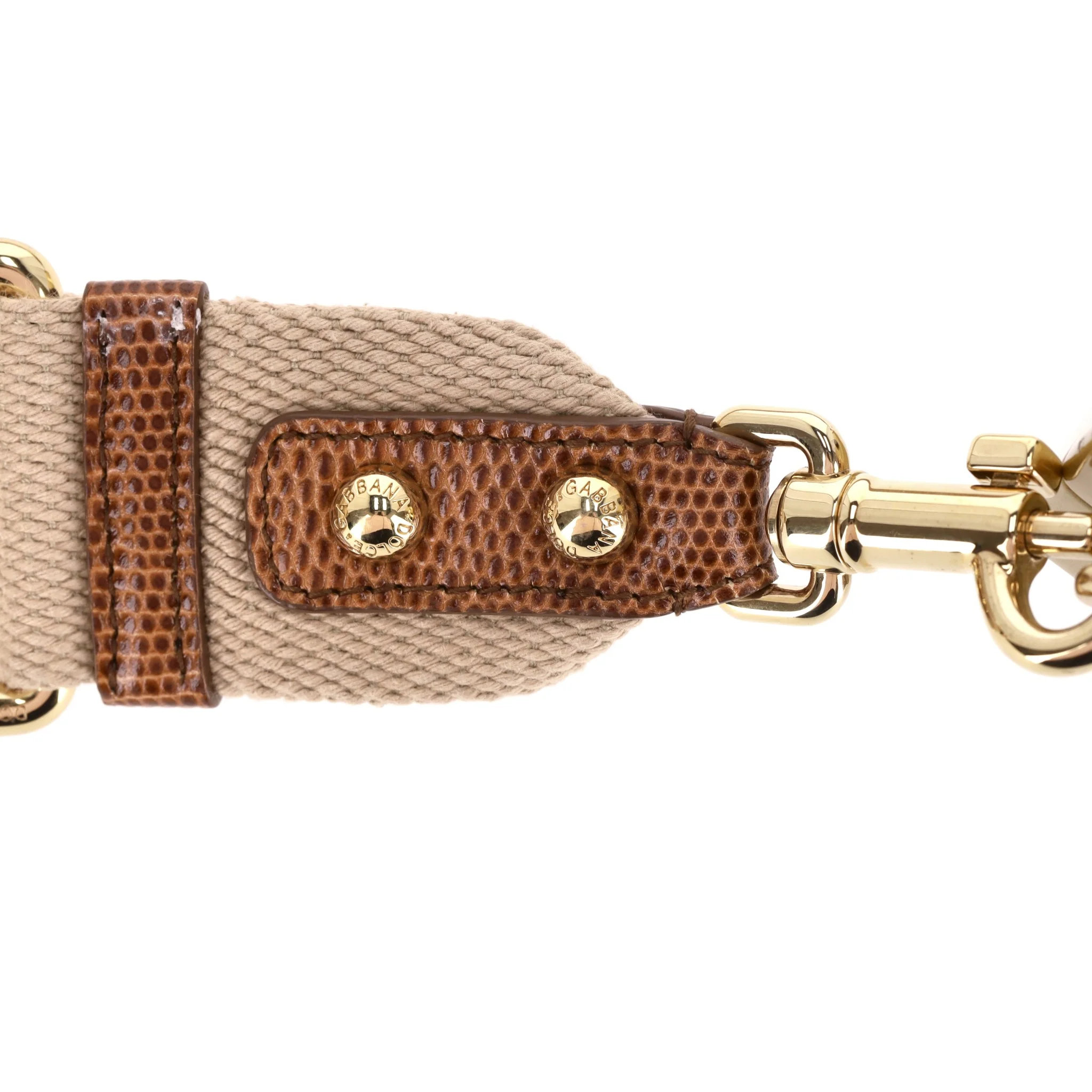 Dolce & Gabbana Lizard Skin Camera Bag - Image 10