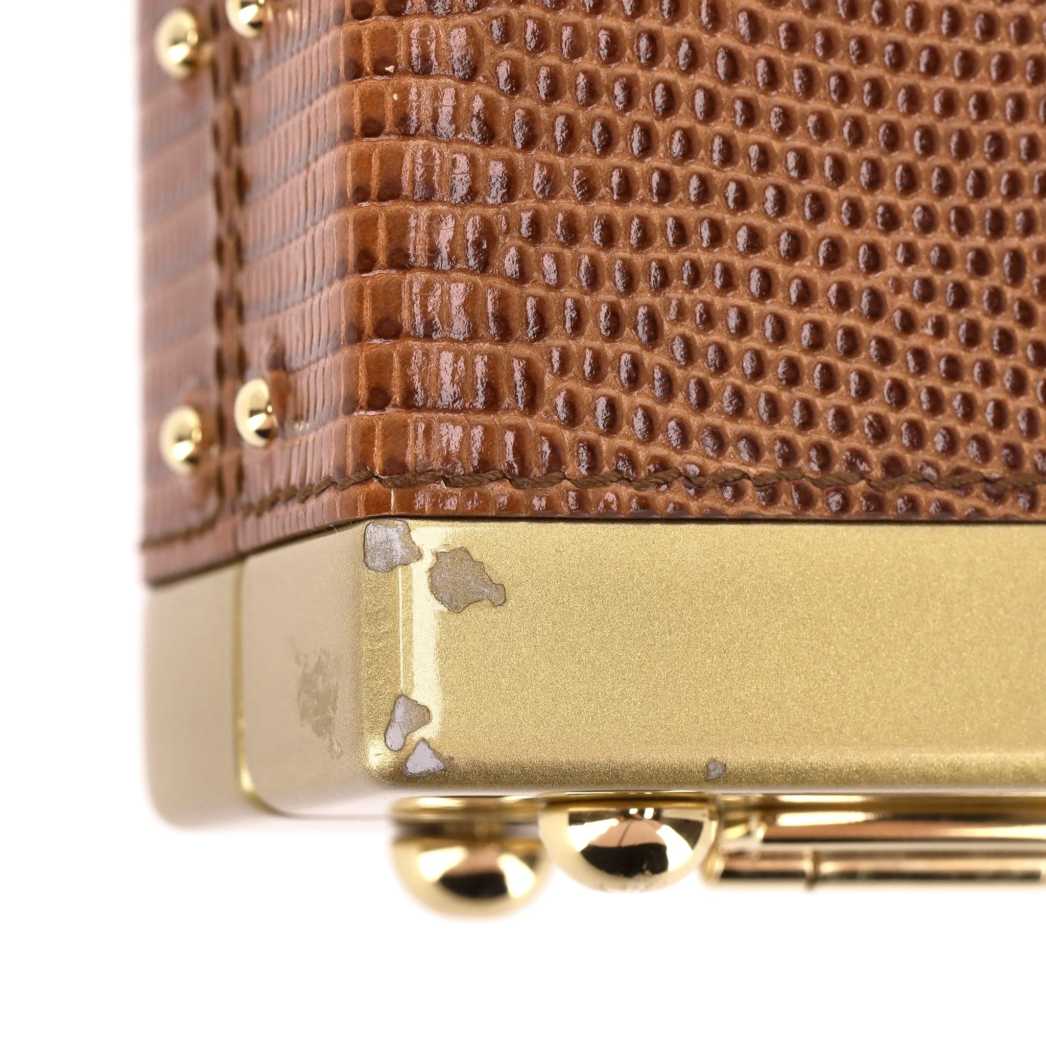 Dolce & Gabbana Lizard Skin Camera Bag - Image 13