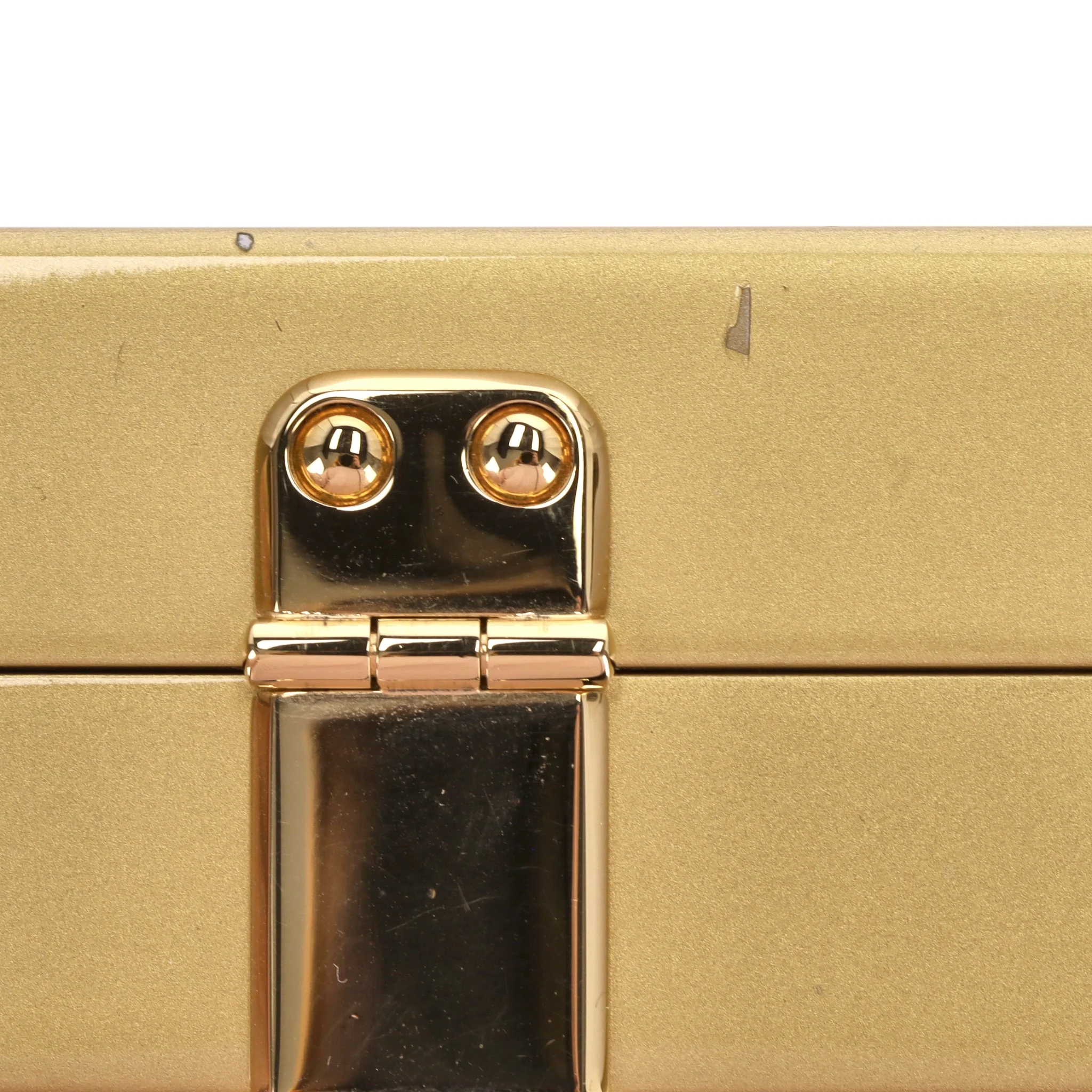 Dolce & Gabbana Lizard Skin Camera Bag - Image 14