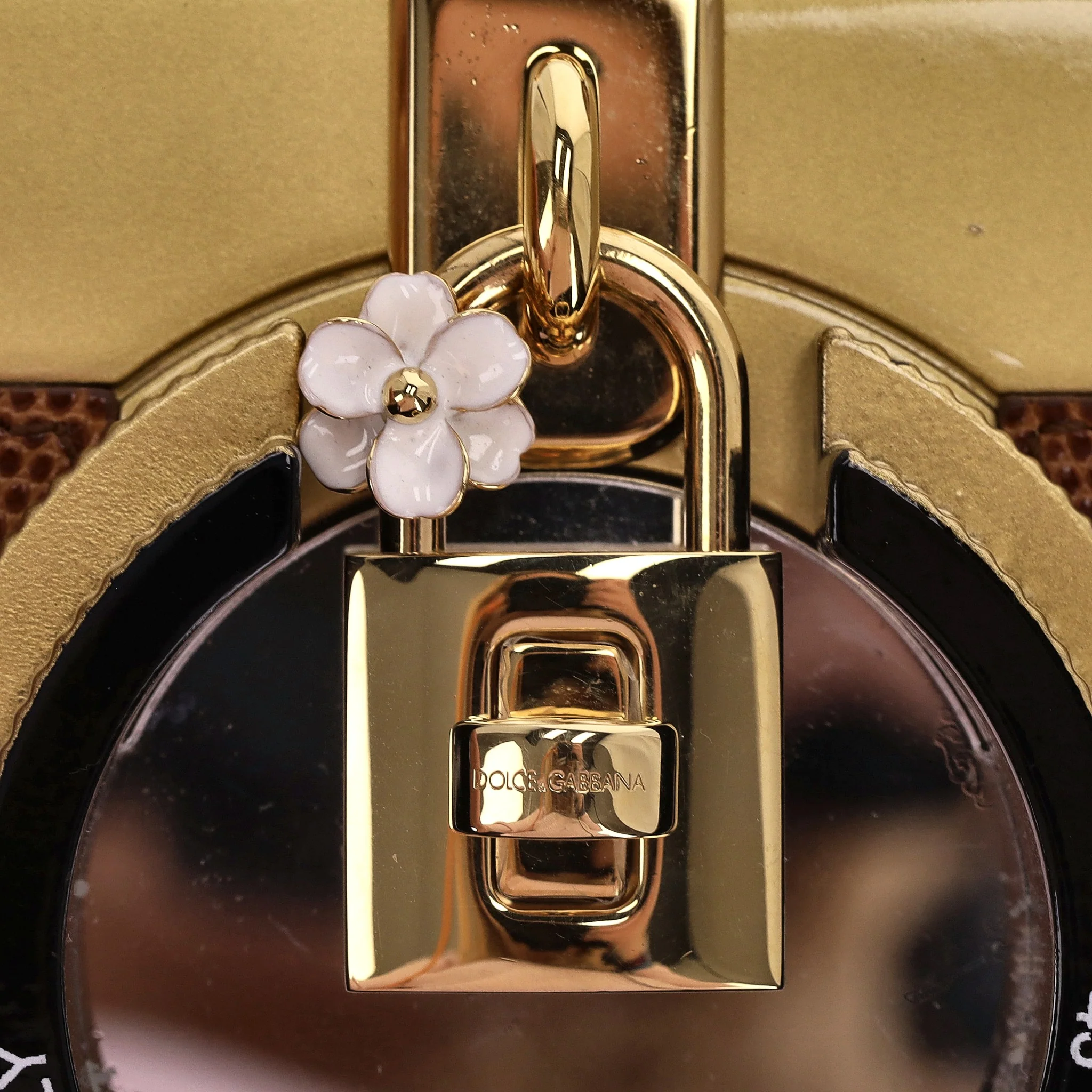Dolce & Gabbana Lizard Skin Camera Bag - Image 8