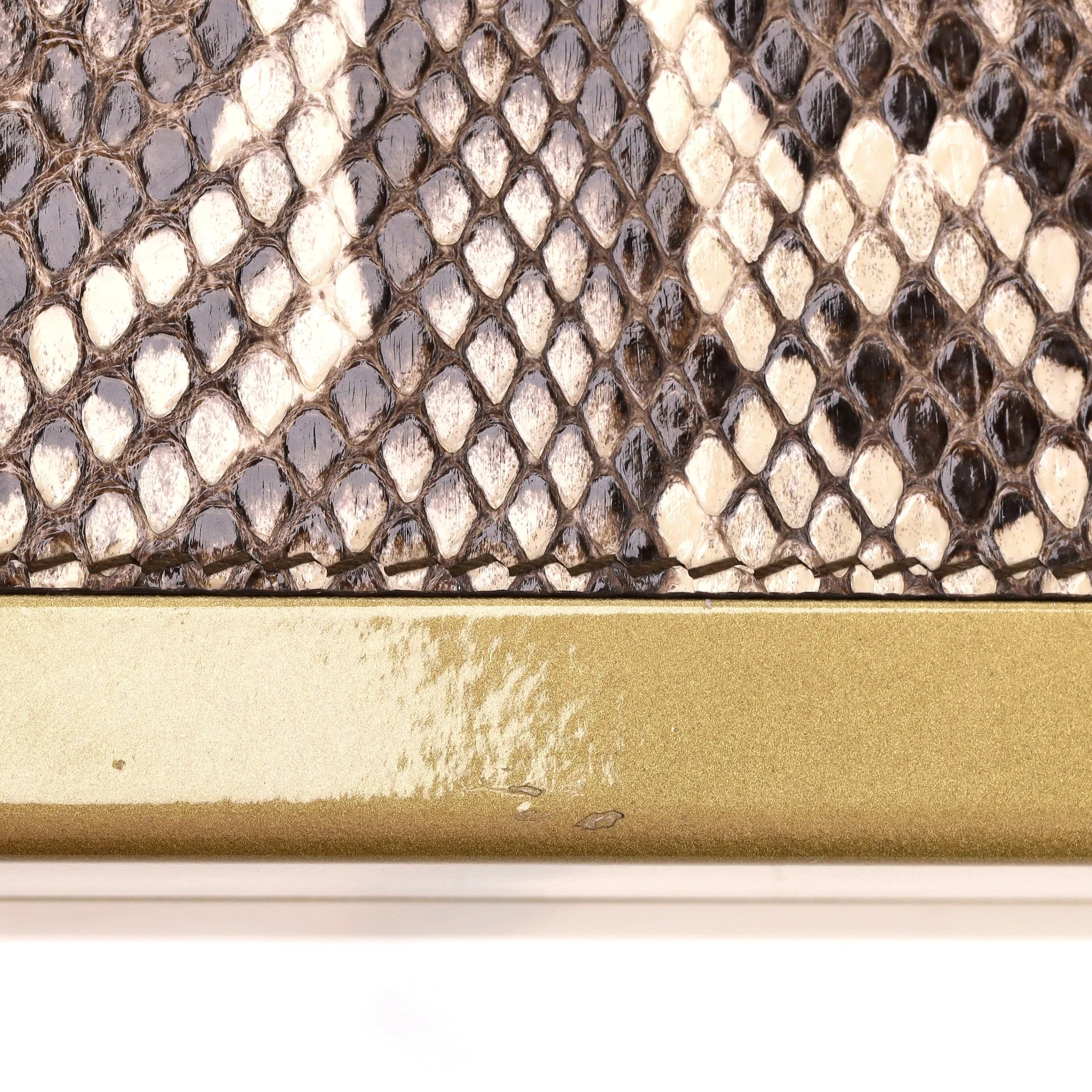 Dolce & Gabbana Snakeskin Camera Bag - Image 11
