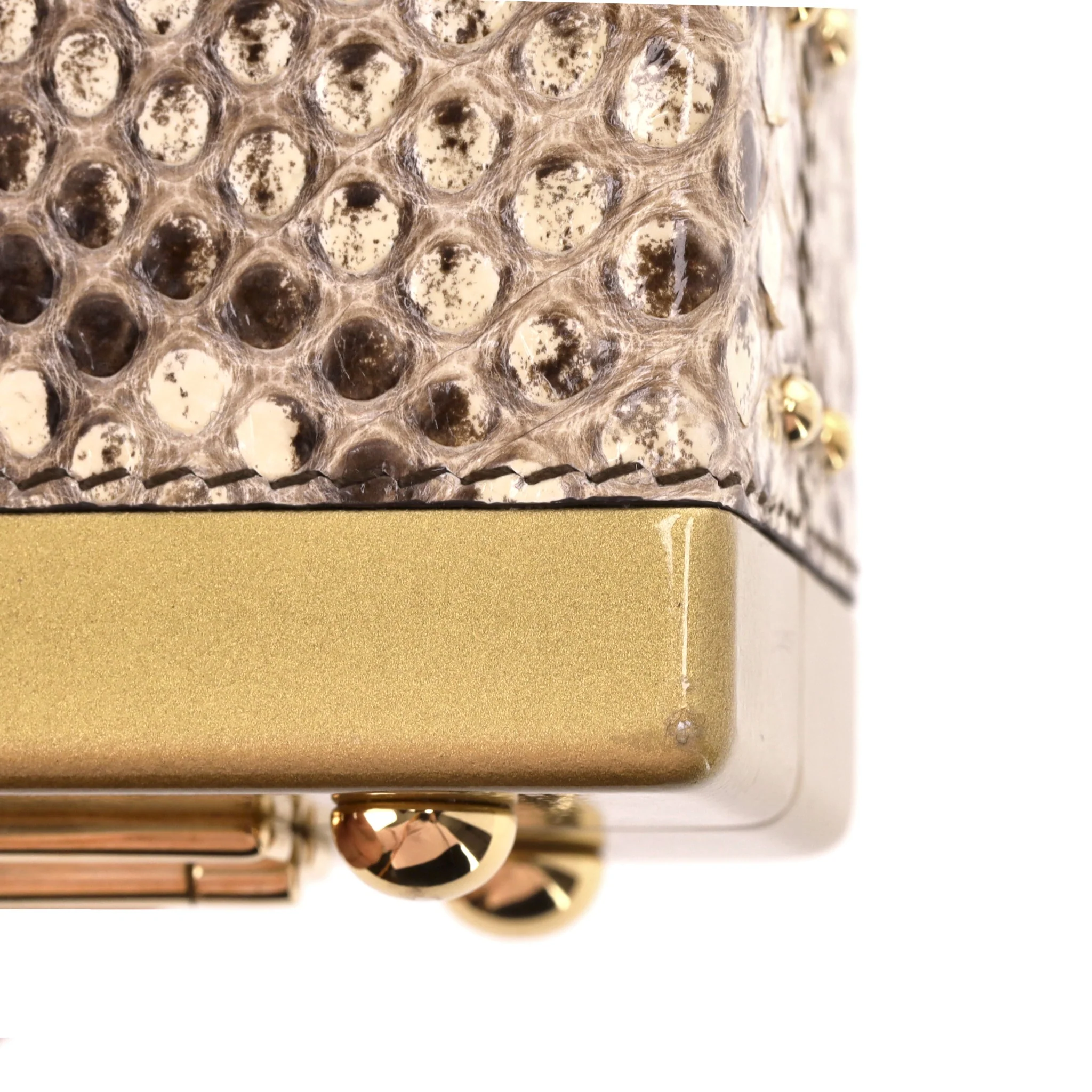 Dolce & Gabbana Snakeskin Camera Bag - Image 12
