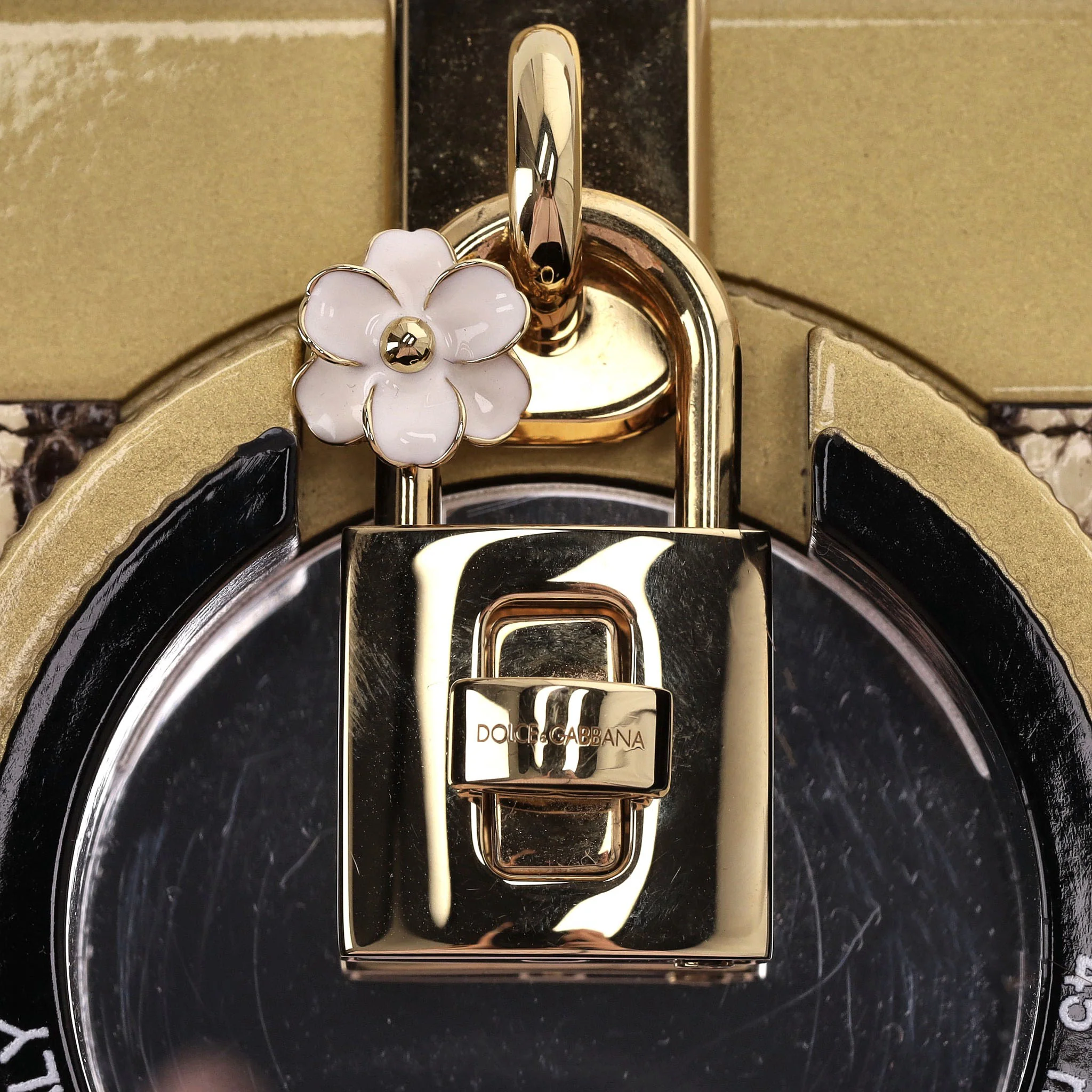 Dolce & Gabbana Snakeskin Camera Bag - Image 8