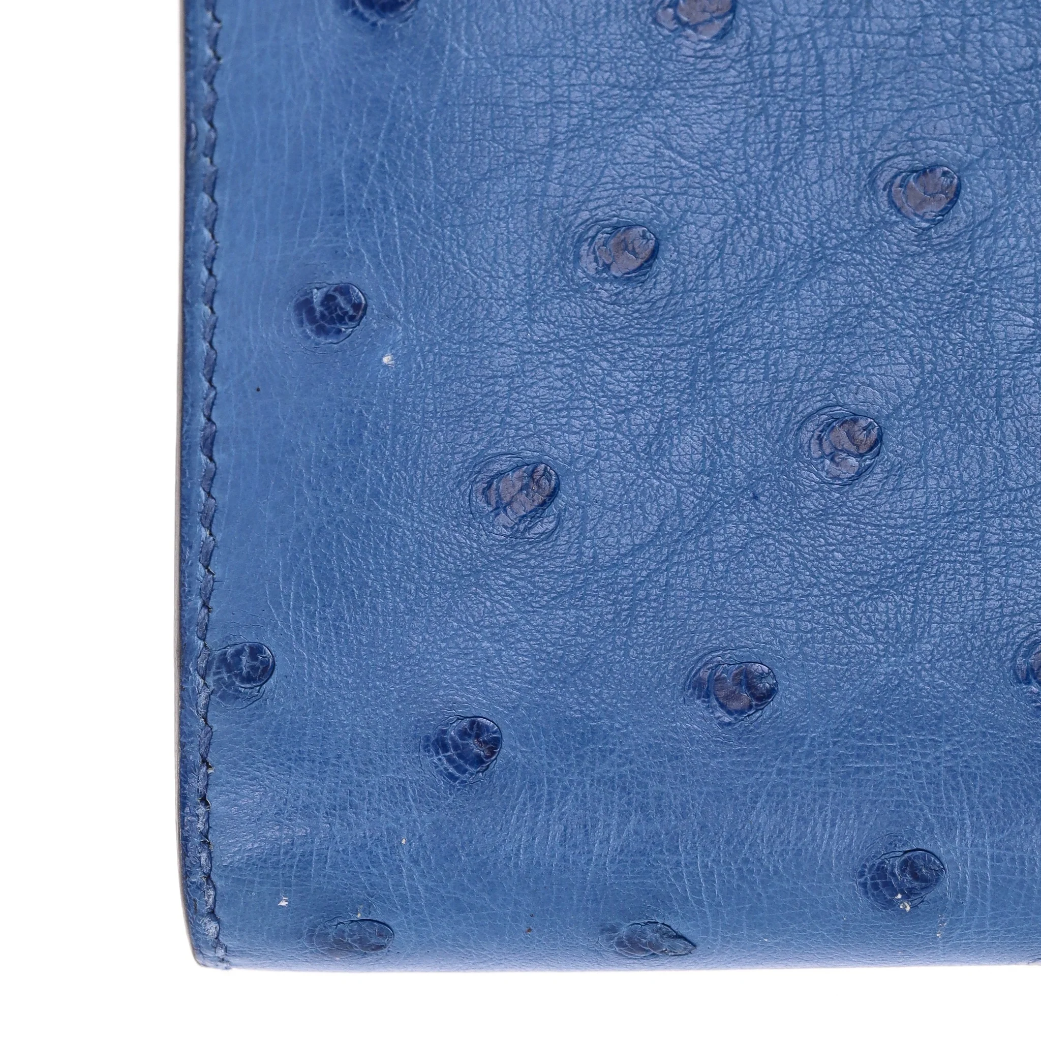 Hermes Ostrich Skin Constance Long Wallet - Image 11