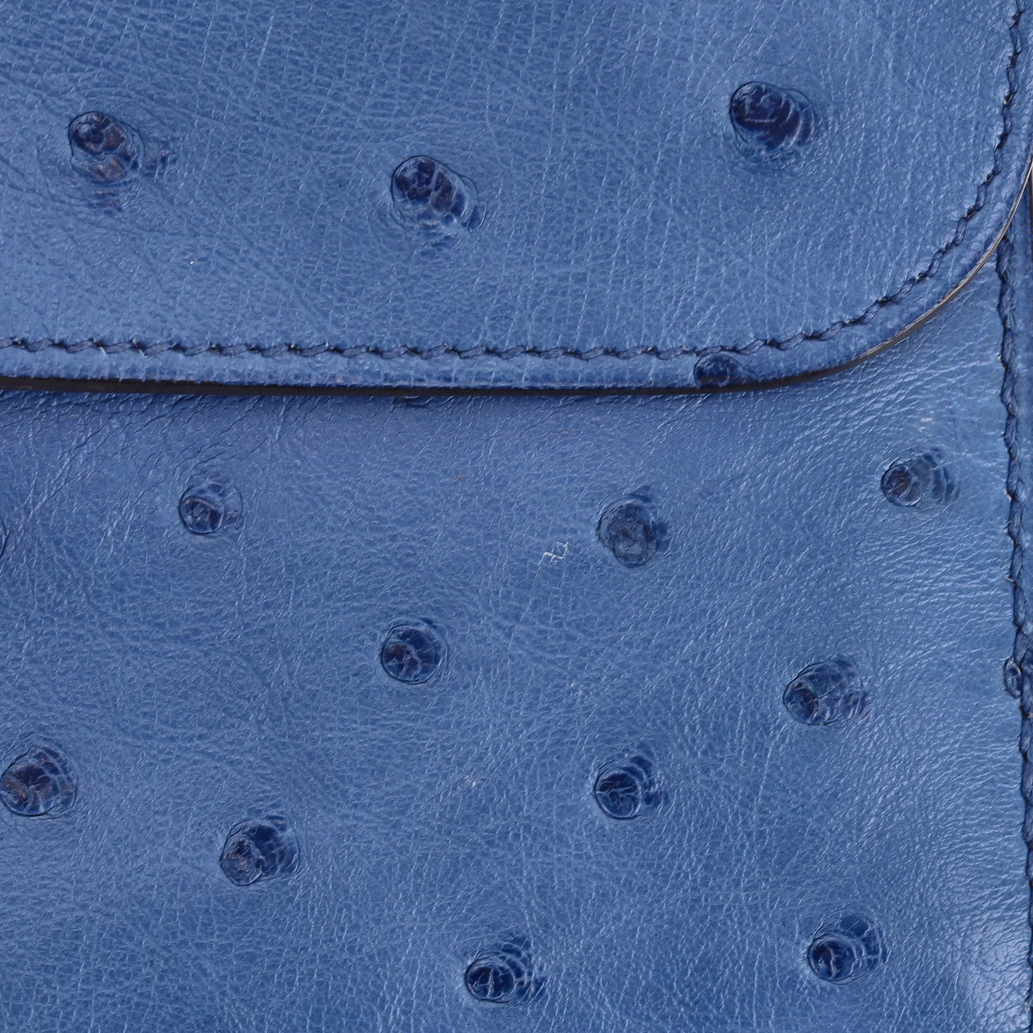 Hermes Ostrich Skin Constance Long Wallet - Image 12