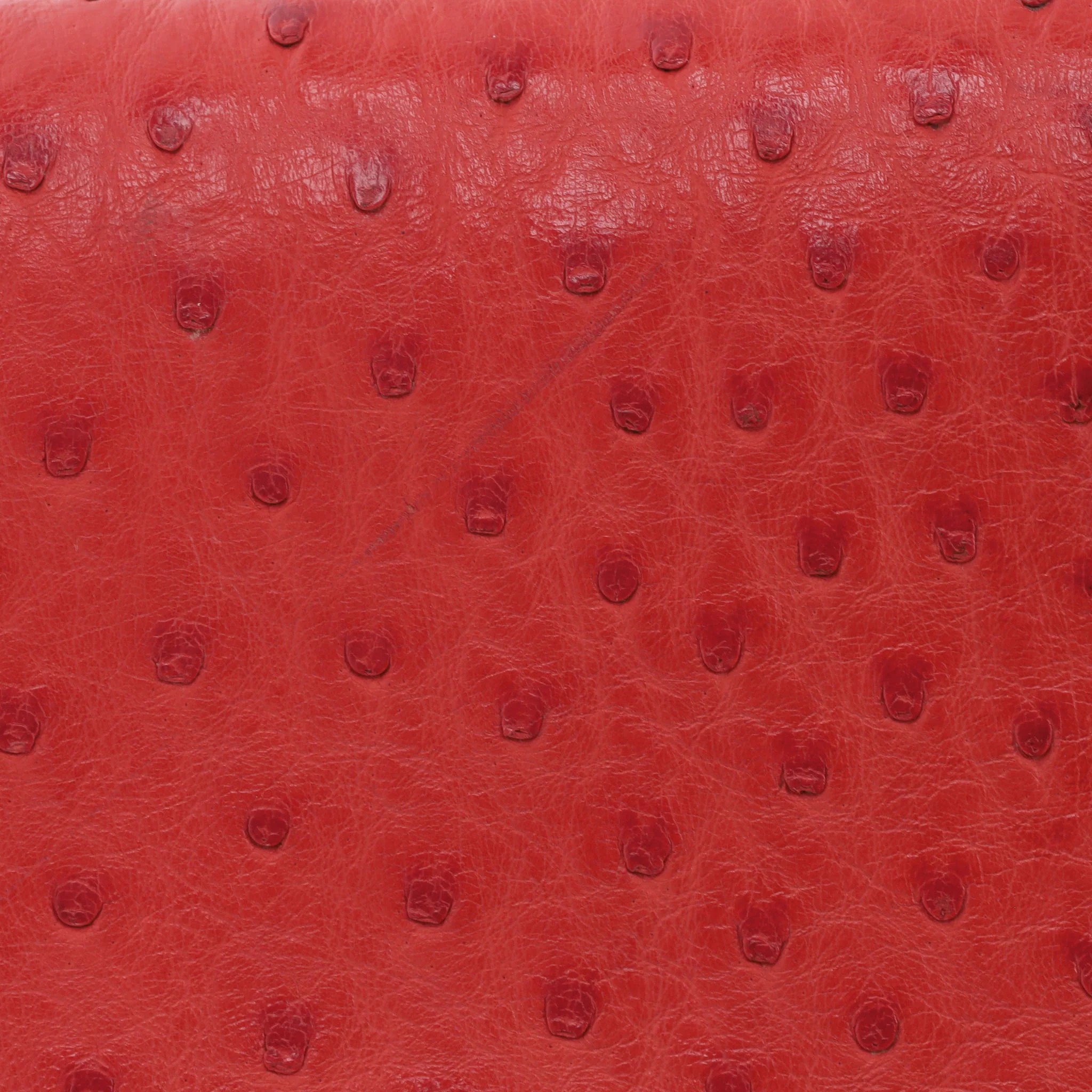 Hermes Rare Vintage Ostrich & Crocodile Skin Himalaya Symbiose 43 Handbag - Image 13