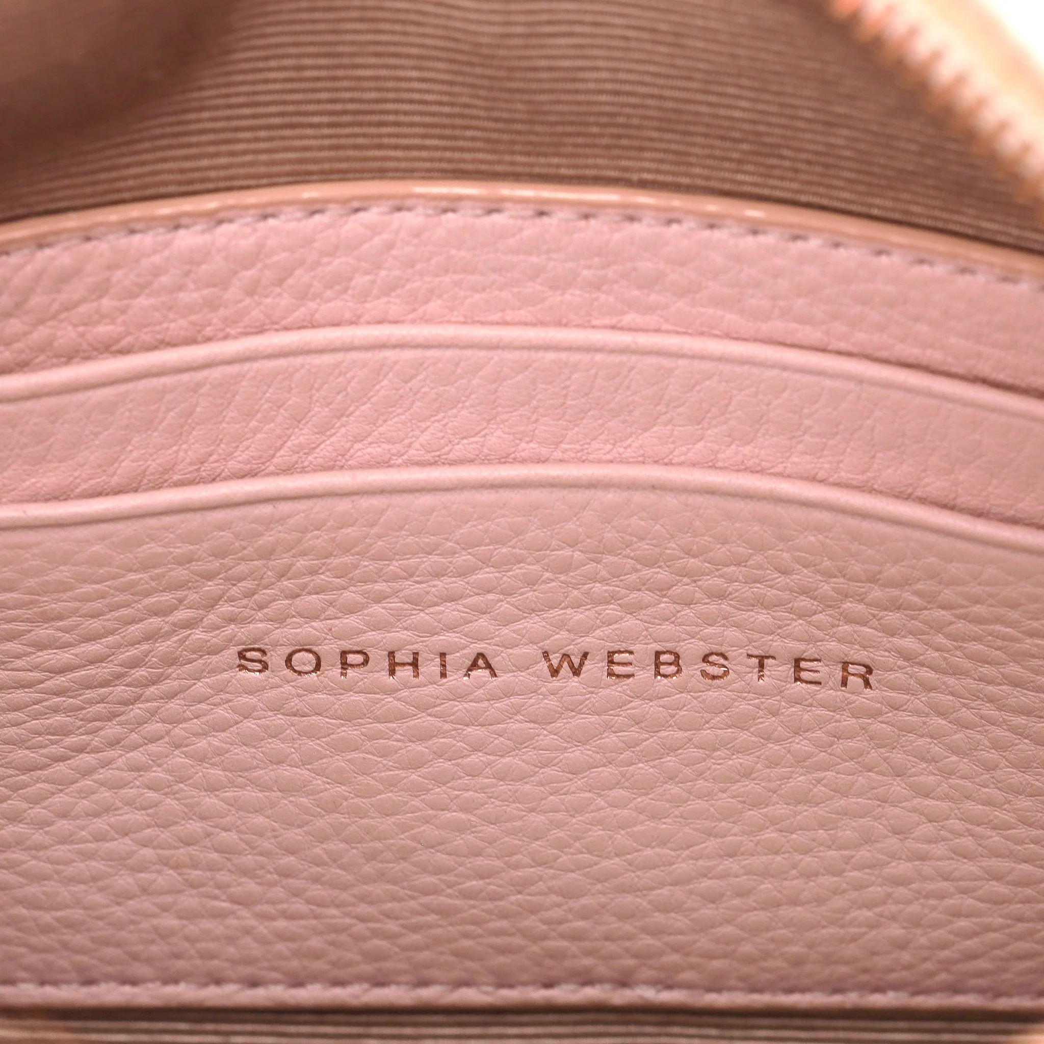 Sophia Webster Flossy Butterfly Leather Camera Bag - Image 9