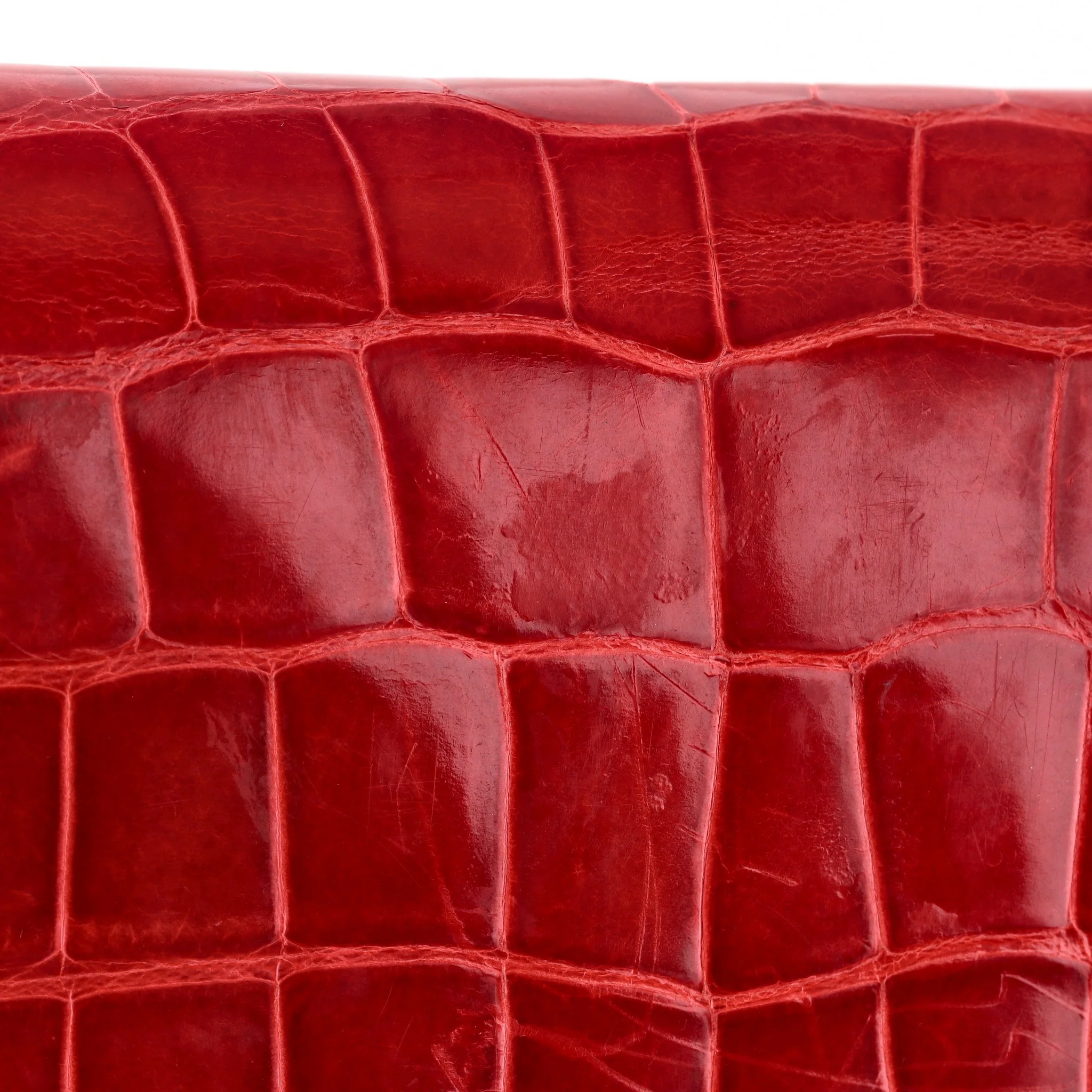 Tom Ford Alligator Skin Clutch Bag - Image 10