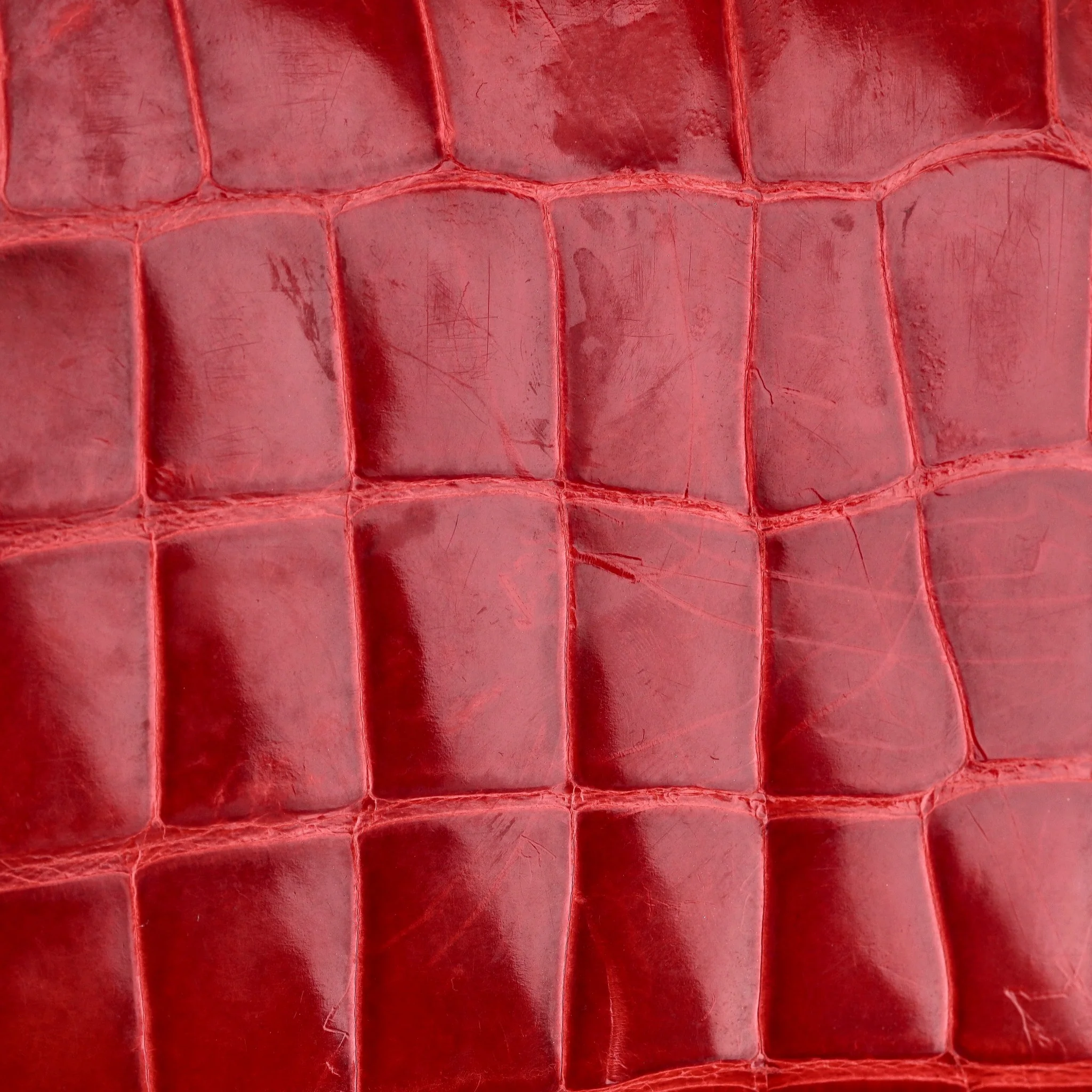Tom Ford Alligator Skin Clutch Bag - Image 11